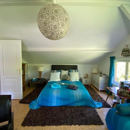 Le Loft Au-Dessus Des Pins Appartement Lacanau Buitenkant foto