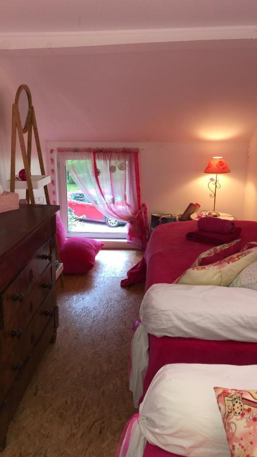 Le Loft Au-Dessus Des Pins Appartement Lacanau Buitenkant foto