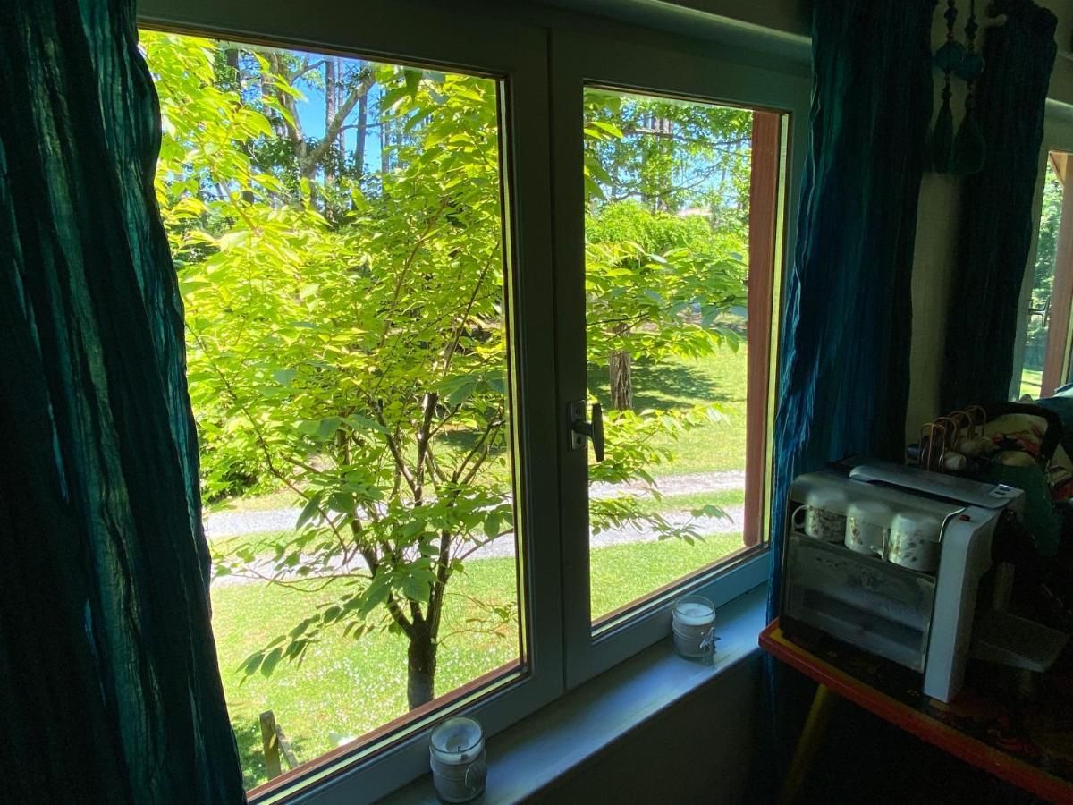 Le Loft Au-Dessus Des Pins Appartement Lacanau Buitenkant foto