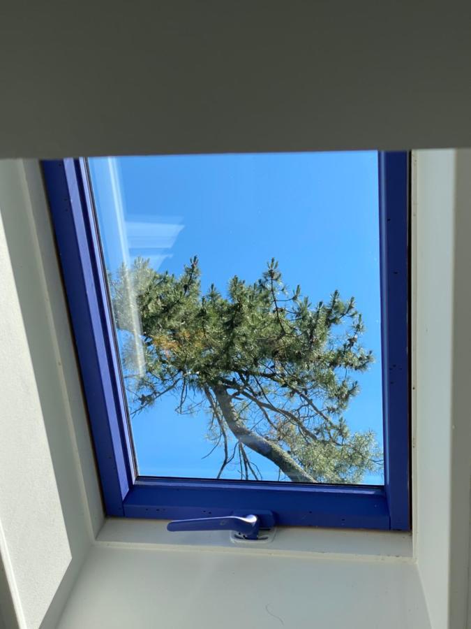 Le Loft Au-Dessus Des Pins Appartement Lacanau Buitenkant foto