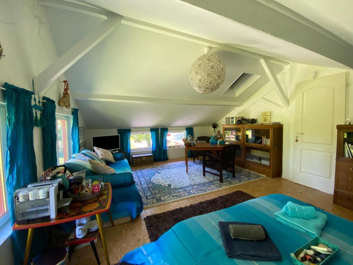 Le Loft Au-Dessus Des Pins Appartement Lacanau Buitenkant foto