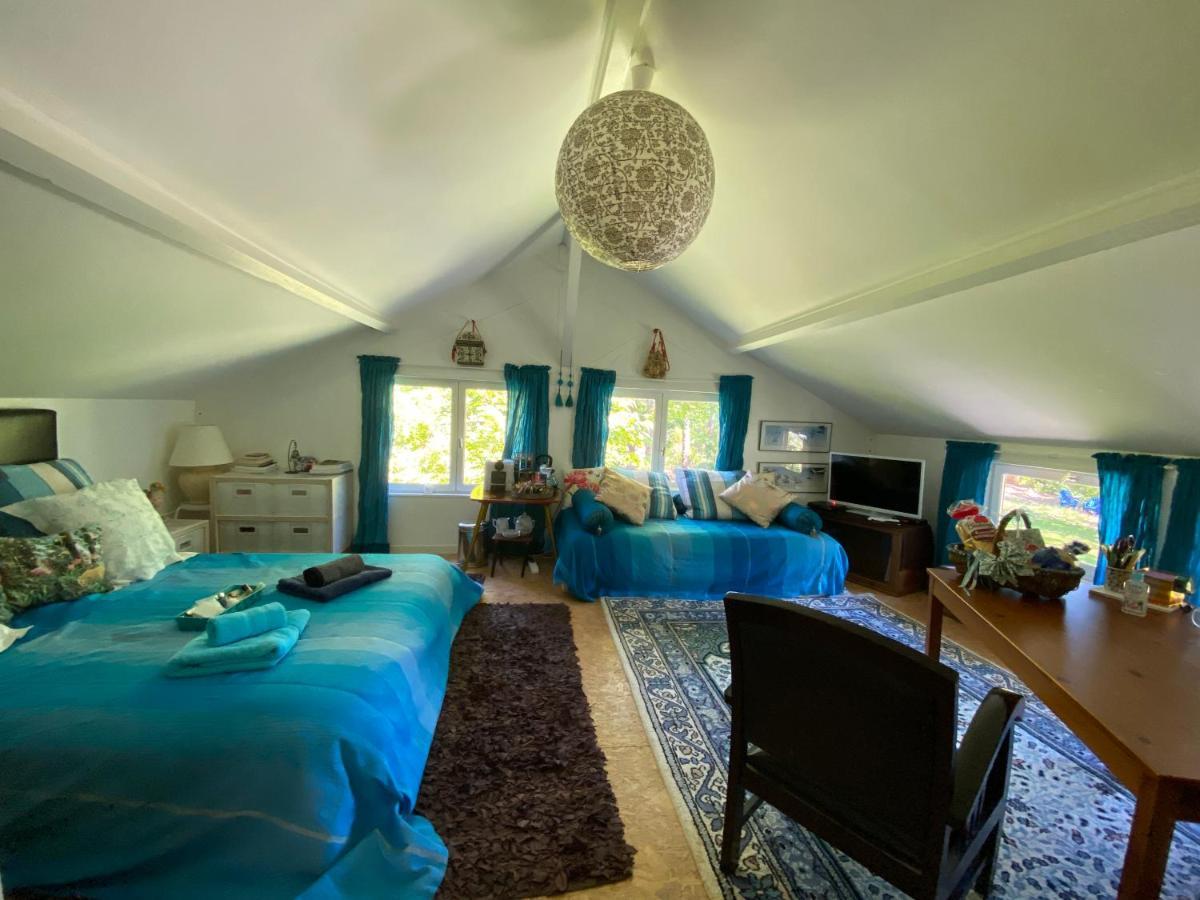 Le Loft Au-Dessus Des Pins Appartement Lacanau Buitenkant foto