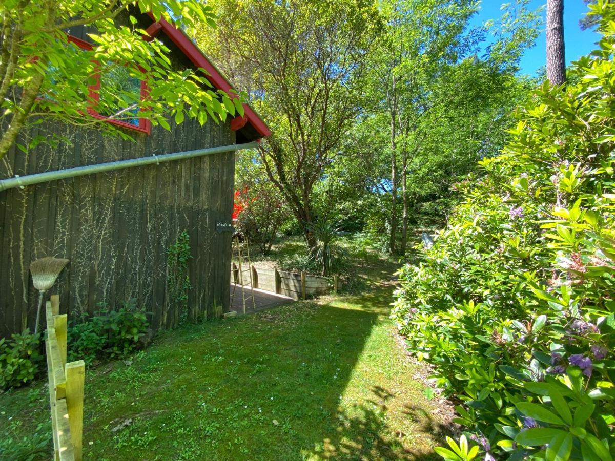 Le Loft Au-Dessus Des Pins Appartement Lacanau Buitenkant foto