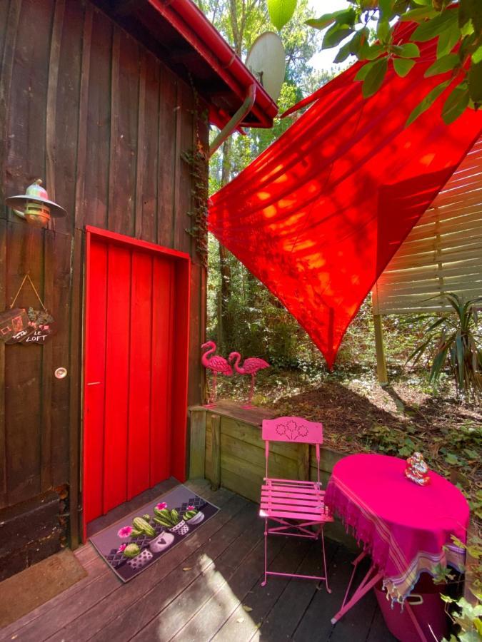 Le Loft Au-Dessus Des Pins Appartement Lacanau Buitenkant foto