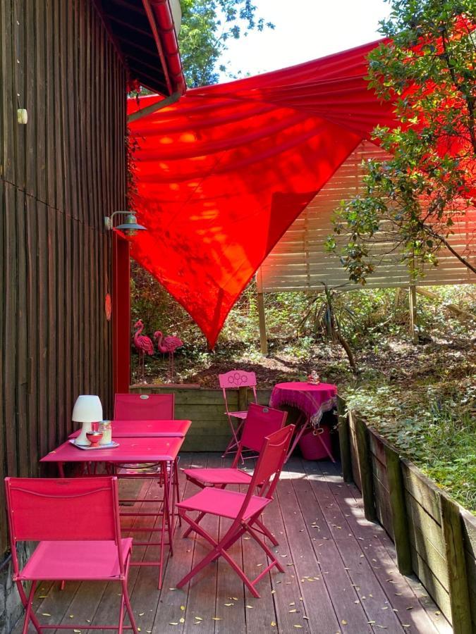 Le Loft Au-Dessus Des Pins Appartement Lacanau Buitenkant foto