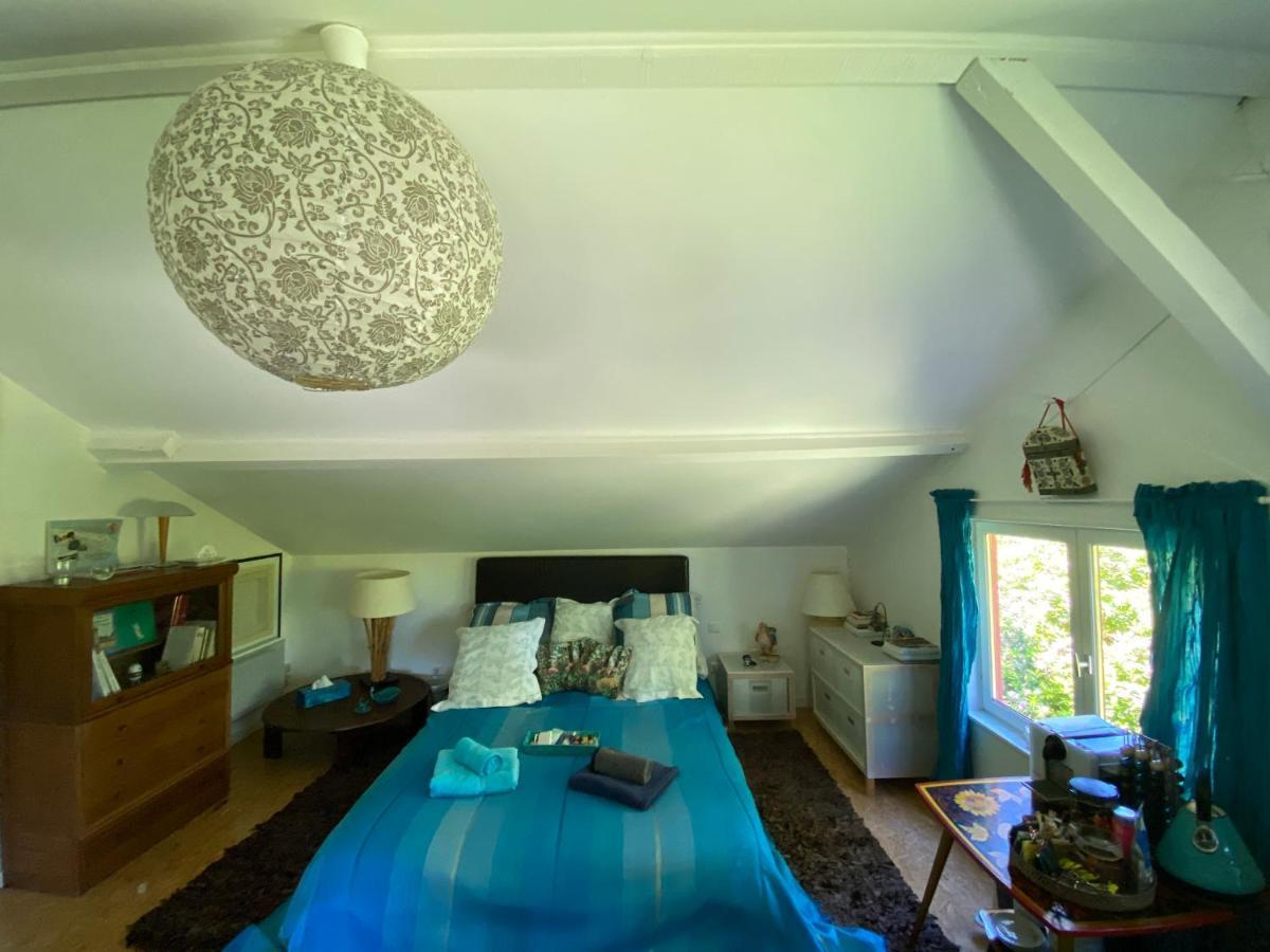 Le Loft Au-Dessus Des Pins Appartement Lacanau Buitenkant foto