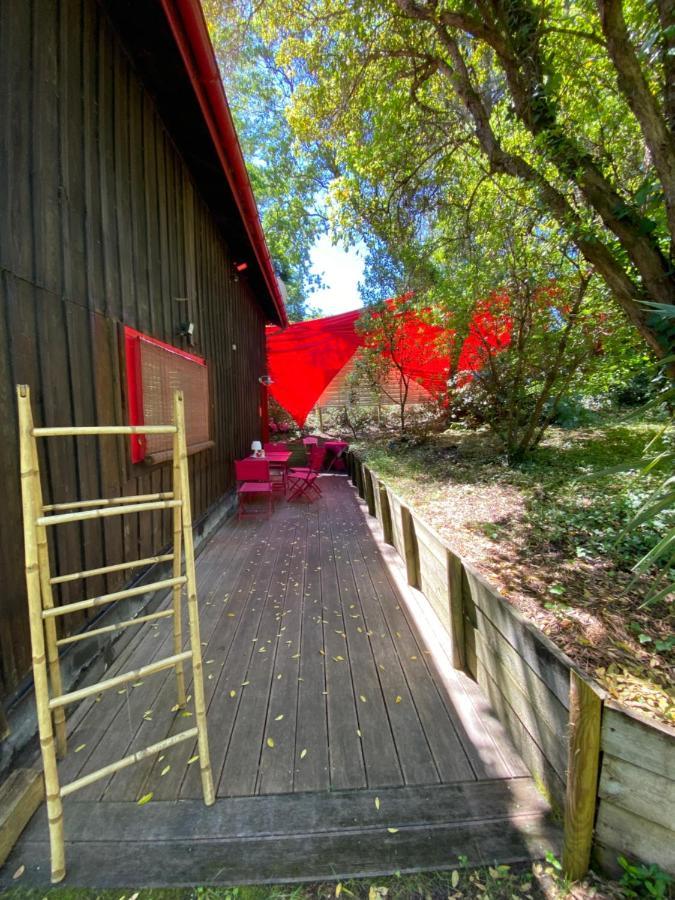Le Loft Au-Dessus Des Pins Appartement Lacanau Buitenkant foto